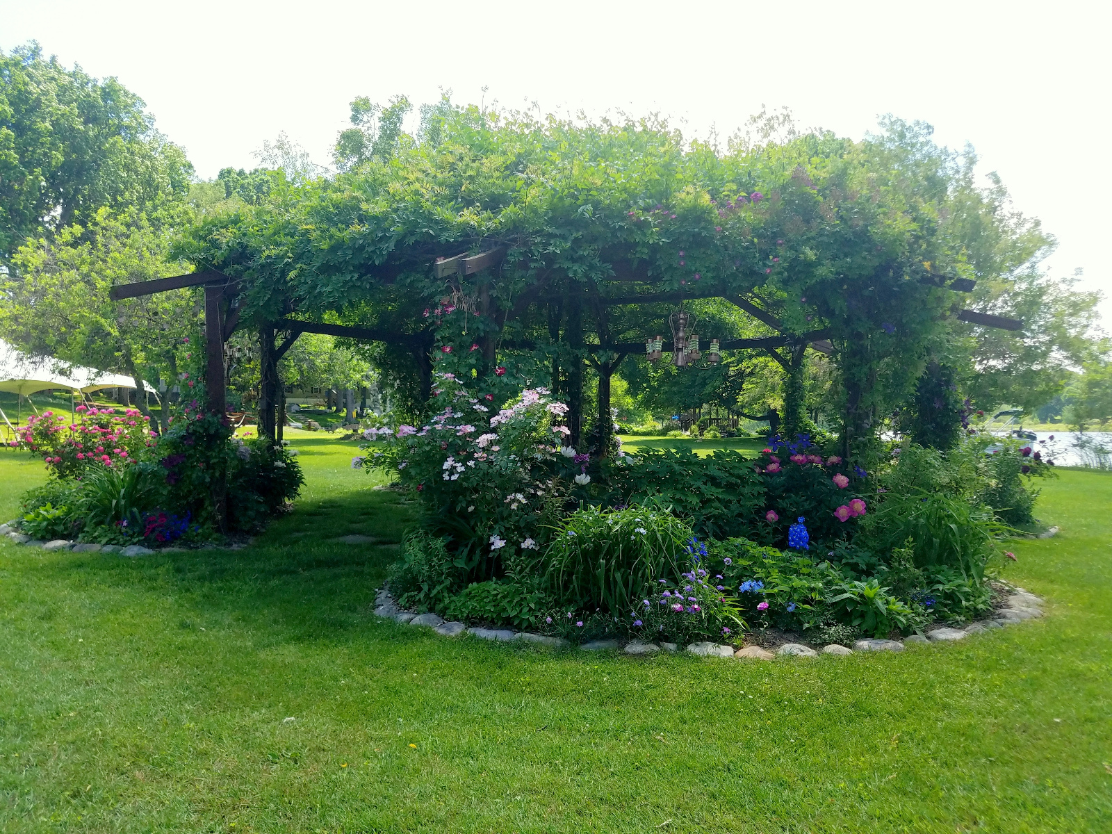 Climbing Rose with Clematis, Scabiosa, several Delphiniums and Sweet Williams